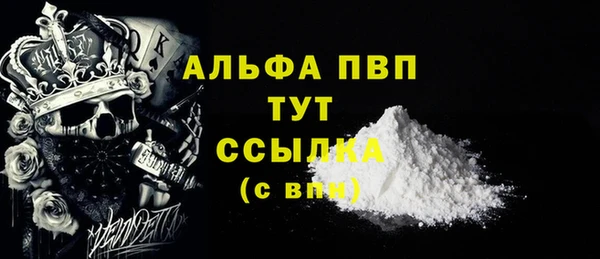 ECSTASY Строитель