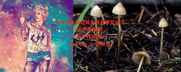 мет Калининец