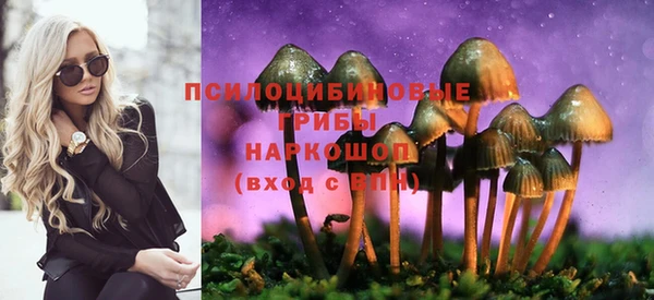 индика Арсеньев