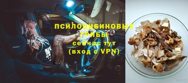 соль ск Балахна