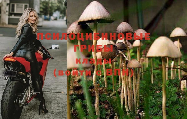 мдма Пестово