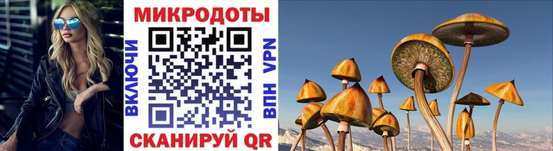 гидра сайт  Иннополис  Псилоцибиновые грибы Cubensis 